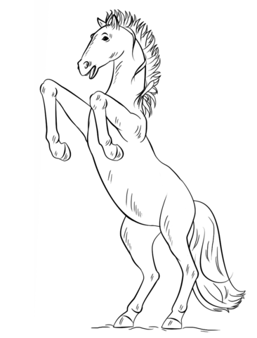 Bucking Mustang Coloring Page